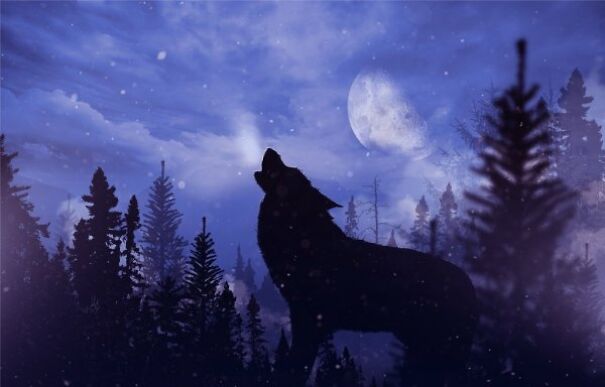 depositphotos_97522024-stock-photo-howling-wolf-in-wilderness-6052d8dfe9706.jpg