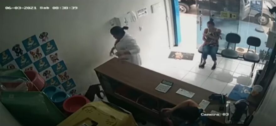 "He Put The Injured Paw Forward": Video Shows Stray Dog Wandering Into A Vet Clinic As If To Ask For Help