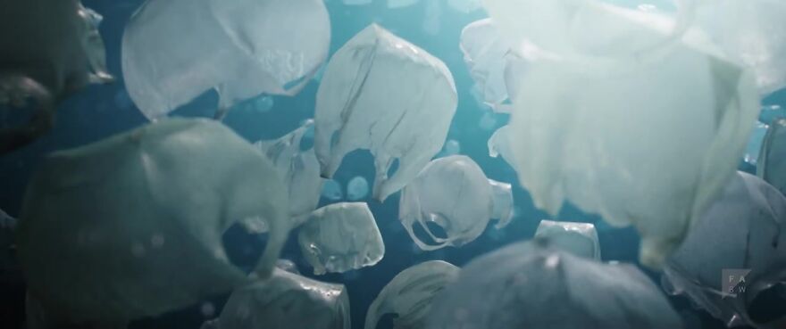 This Heartbreaking Animated Short Shows Plastic Waste Transforming Into Ocean Life