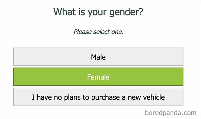 3rd Gender