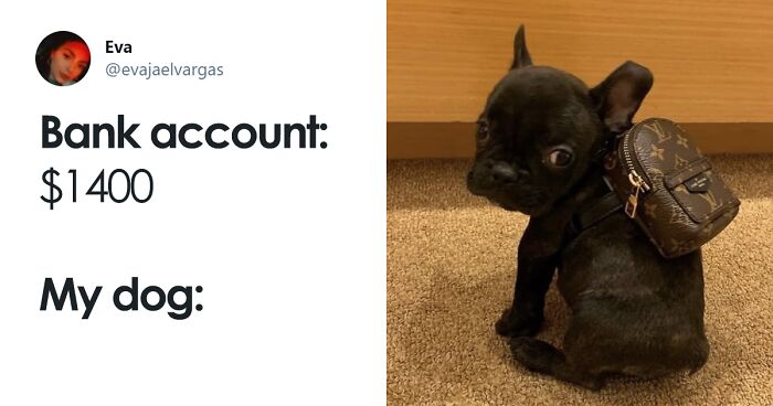 30 Of The Most Sarcastic And Funny Tweets That Show How People Are Gonna Spend All That Stimulus Check Money