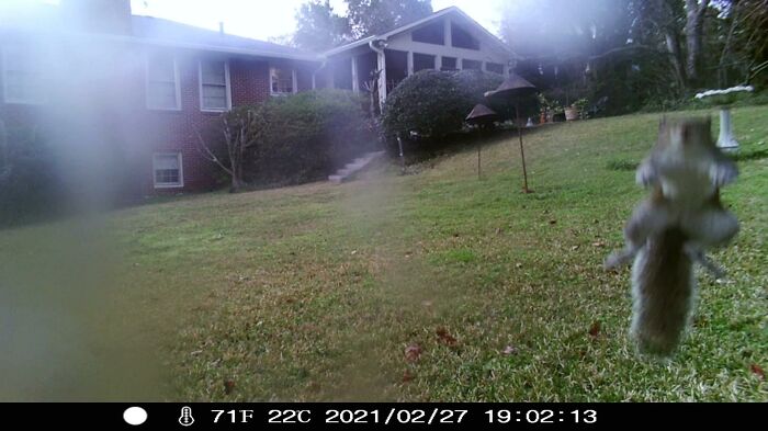 Trail Cam With Broken Seal So Permanent Water In The Lens But Still Got This