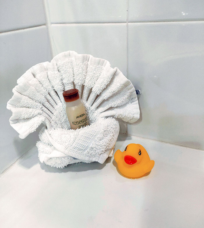 My Hotel Room Came With A Ducky For The Bath