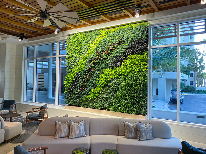 I Came Across This Living Green Wall In A Hotel Lobby In Florida