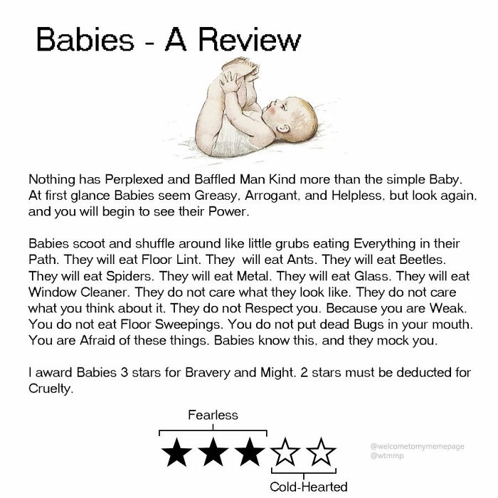 People Are Cracking Up At The 26 Spot-On Reviews This Person Has Given |  Bored Panda
