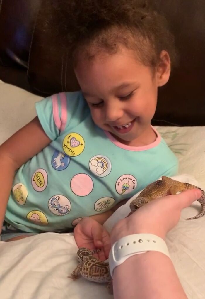 My Niece Loves My Geckos!