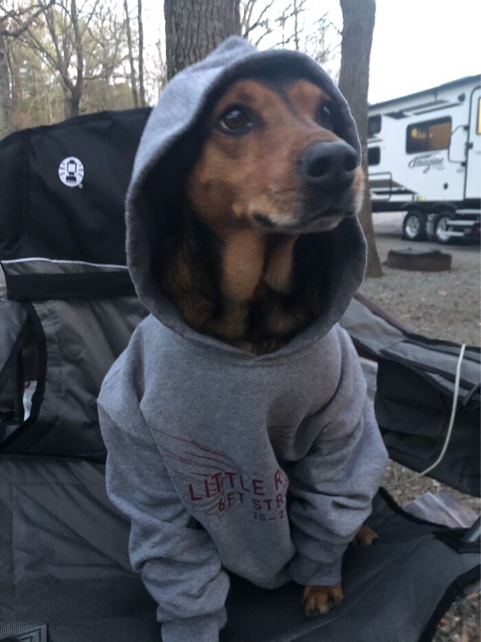 We Went Camping And He Got Cold