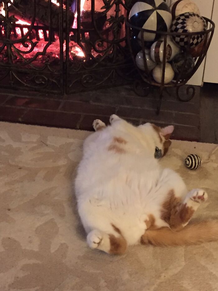 Cullen Loves The Fire!