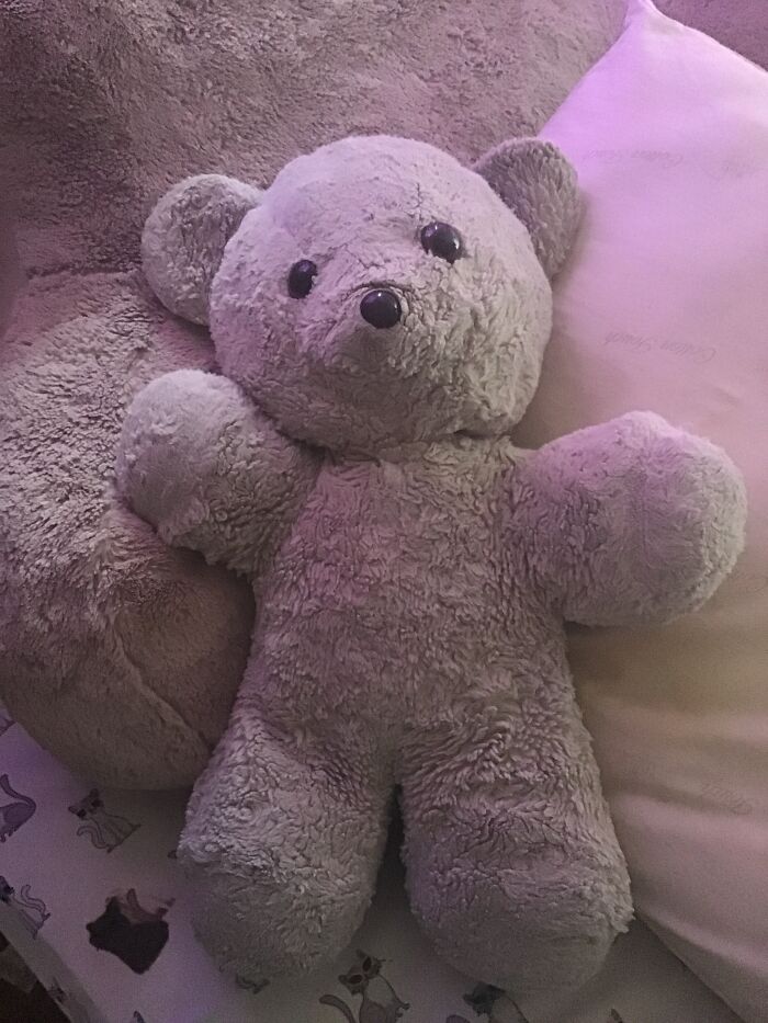 This Is Theodore, A 32 Year Bear That Was My Moms And Is Now Mine