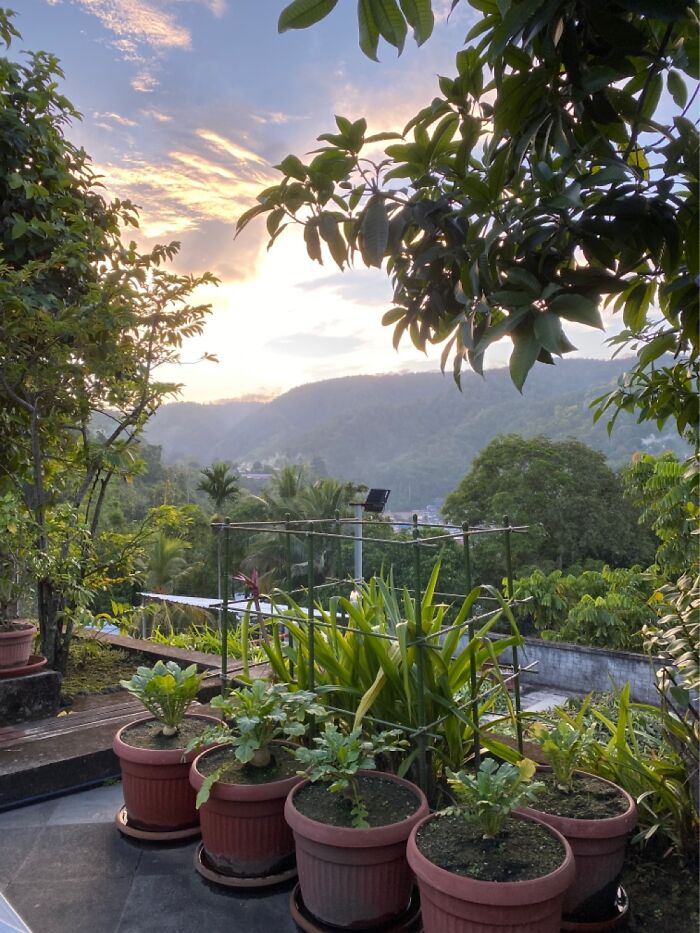 Photo From My Home