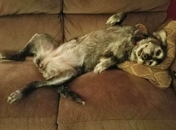 Draw Me Like Your French Girls!