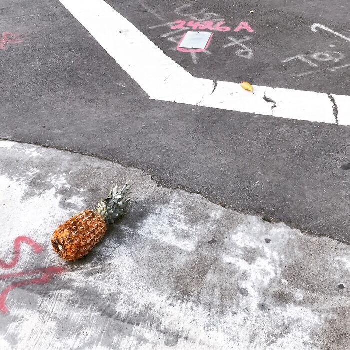 Mysterious Street Pineapple
