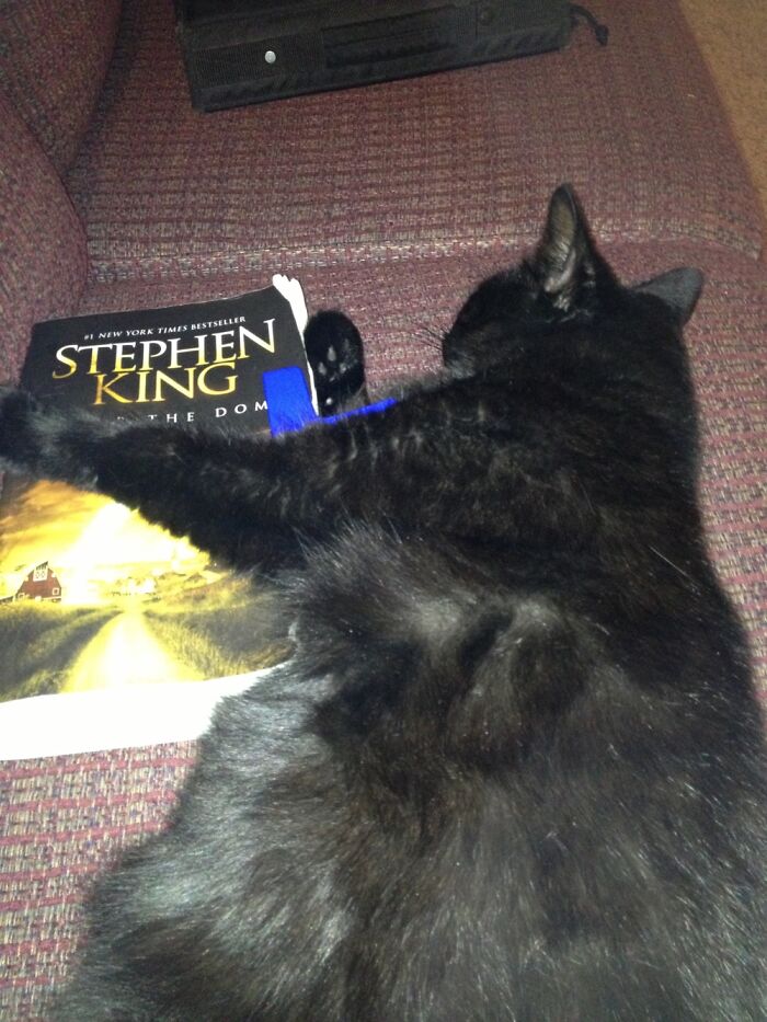 Yes, I Like Stephen King Too. Give It Back Jerk.