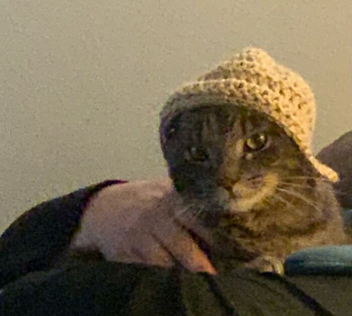 Grandma Made Him A Hat. Not So Happy About It. Lol