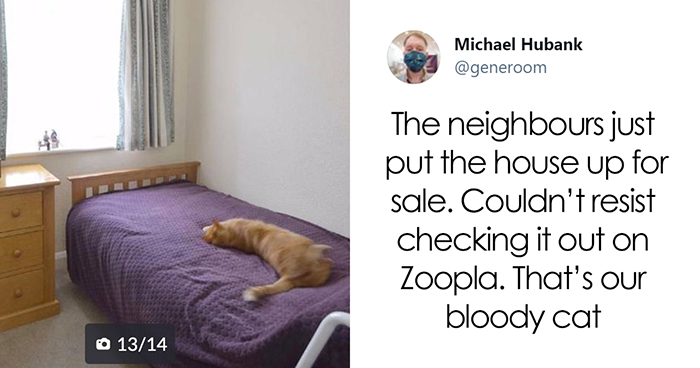 40 “My Cat, Not My Home” And “My Home, Not My Cat” Tweets About Cats That Do What They Want