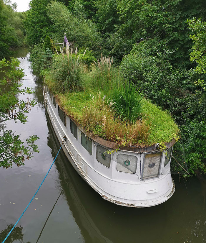 This Overgrown Boat We Saw. Nature Ship "Ms Heimliche Liebe"