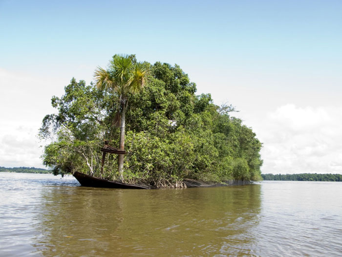 Un barco hundido recuperado por la Naturaleza y convertido en una isla