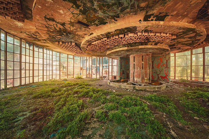 Abandoned Place Reclaimed By Nature