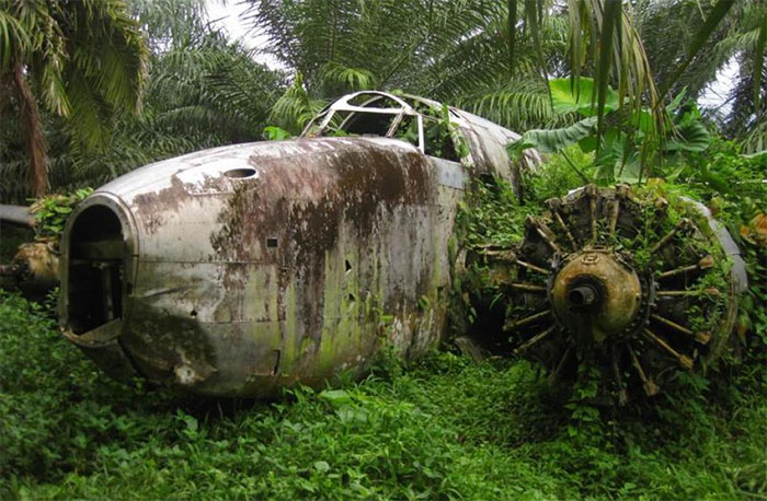 WW2 Bomber Being Swallowed Up By Jungle Undergrowth. Photos By Bruce Mcpherson