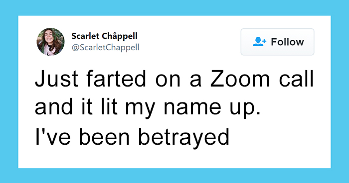 50 Funny Tweets From People Who Are So Done With Zoom Calls