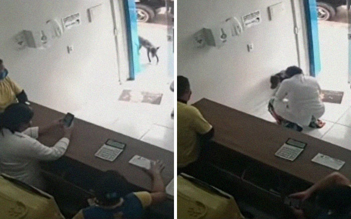 “He Put The Injured Paw Forward”: Video Shows Stray Dog Wandering Into A Vet Clinic As If To Ask For Help