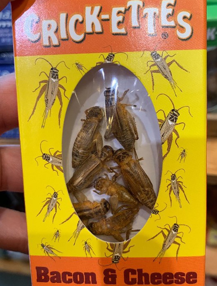 "Bug Snacks. Ew. Not Even Bacon Will Make This Palatable"