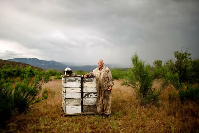 Til Honeybees Used In Almond Groves Often Die Of Pesticides, Lack Of Biodiversity, Arousal From Dormancy Early. To Mitigate, Growers Split Hives, Put Mail-Order Queens In New Hives, Feed Bees Fake Pollen. The "Bee Better" Program Puts Diverse Flora In Almond Groves As Natural Pest Control/Bee Food.