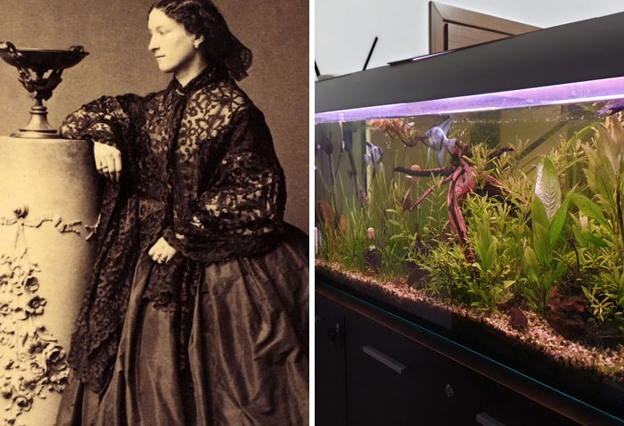 Jeanne Villepreux-Power Invented The Aquarium
