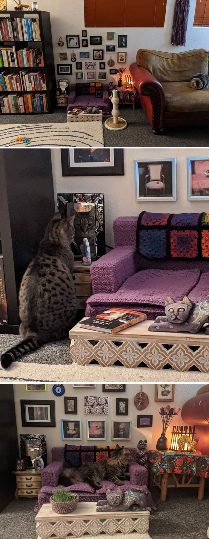This Person Made A Tiny Living Room For Their Cats