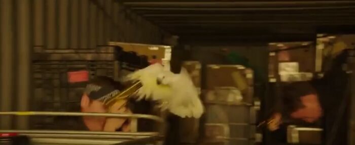 In 22 Jump Street (2014), Jonah Hill Was Attacked By A Parrot During The Car Chase. His Panicked Reaction Is Real. On The Dvd Commentary, He Said: “That Was Not Acting. I Don’t Like Birds.”