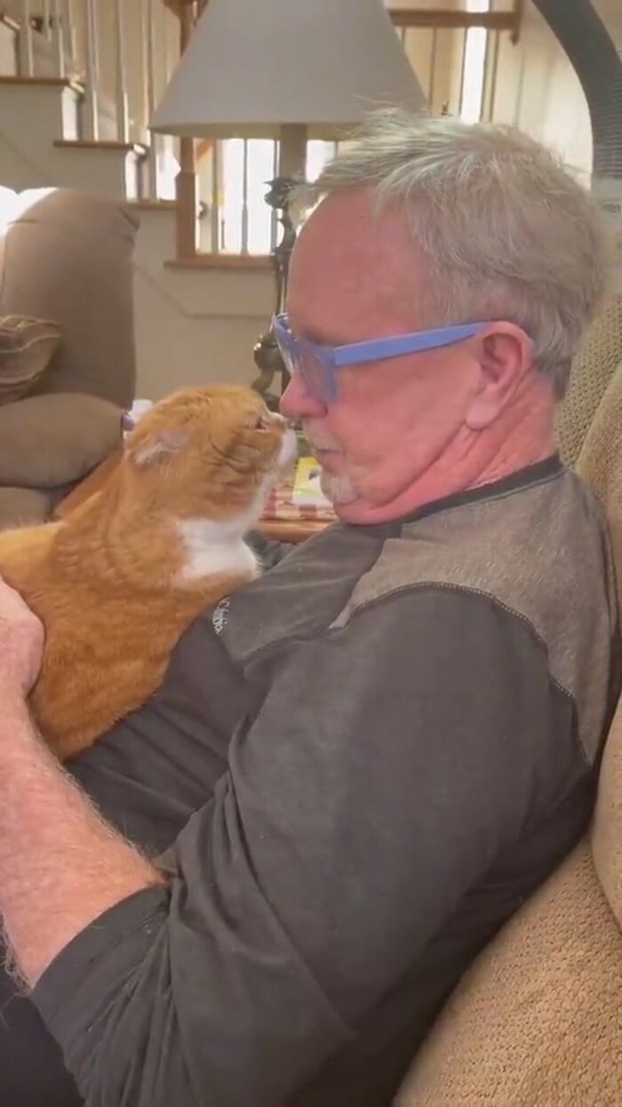 Este gato se niega a separarse de su abuelo, que lucha contra el cáncer