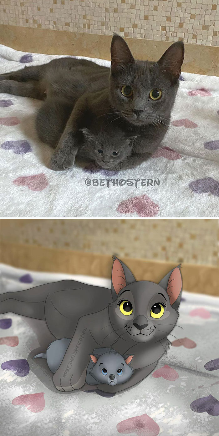 I Just Look At This Pic Of @bethostern Foster Kitty Sue And Her Baby When I Feel Sad, And I Instantly Feel Better 🥰 ⁣
⁣
i Hope It Has The Same Effect On You Guys!❤️⁣
⁣
also Is It Even Possible To Make A Kitten’s Face Cuter With A Drawing?! Because The Struggle To Make Something That Already Is 100% Cute As Cute As Or Cuter Than The Original Is Real. 😱⁣