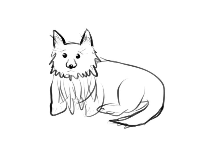 I Attempted To Do A Dog