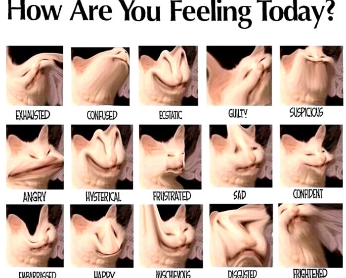 How Are Feeling Today?
