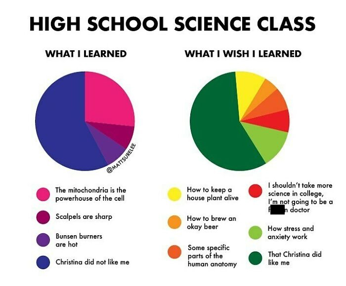 My High School Science Class