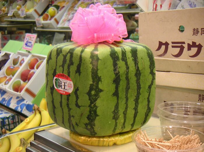 You Can Find Watermelons In The Shape Of A Cube In Japanese Stores