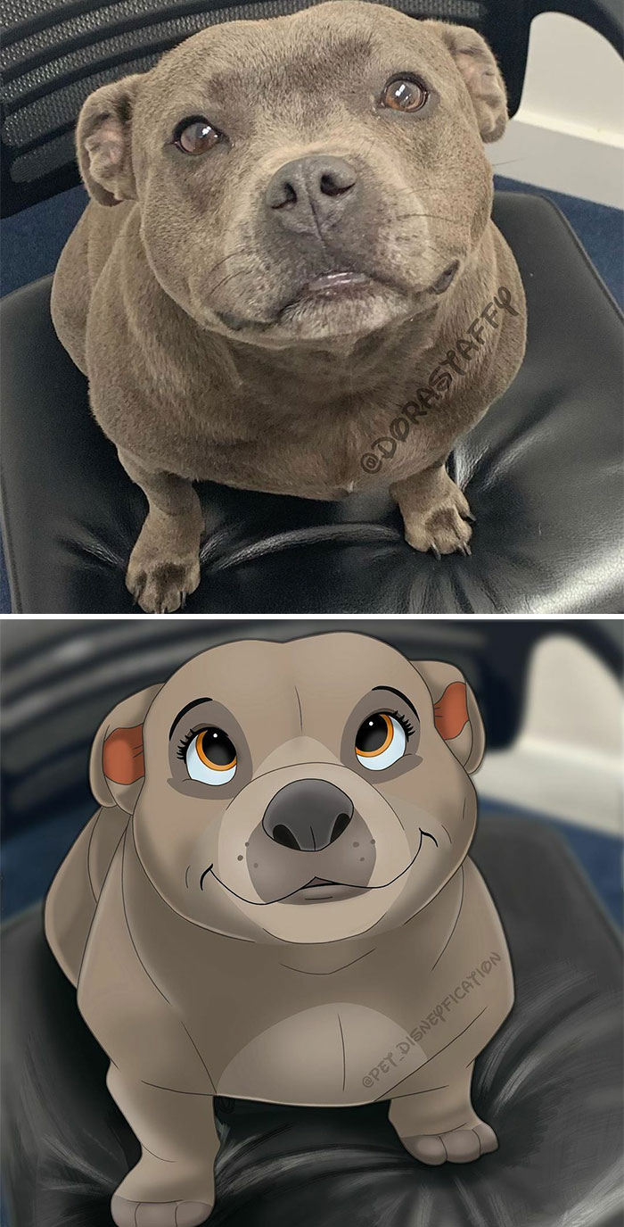 I Present To You:⁣⁣
the Perfect Velvet Hippo @dorastaffy⁣⁣
🥺🦛❤️⁣⁣
⁣⁣
my Favorite Kind Of Dog To Draw! Not Sure What It Is About Them, The Head Shape Maybe? Or The Sweet Smiles? 😍⁣⁣
⁣⁣
swipe To See The Original Pic & The Drawing Without Background! 💕
