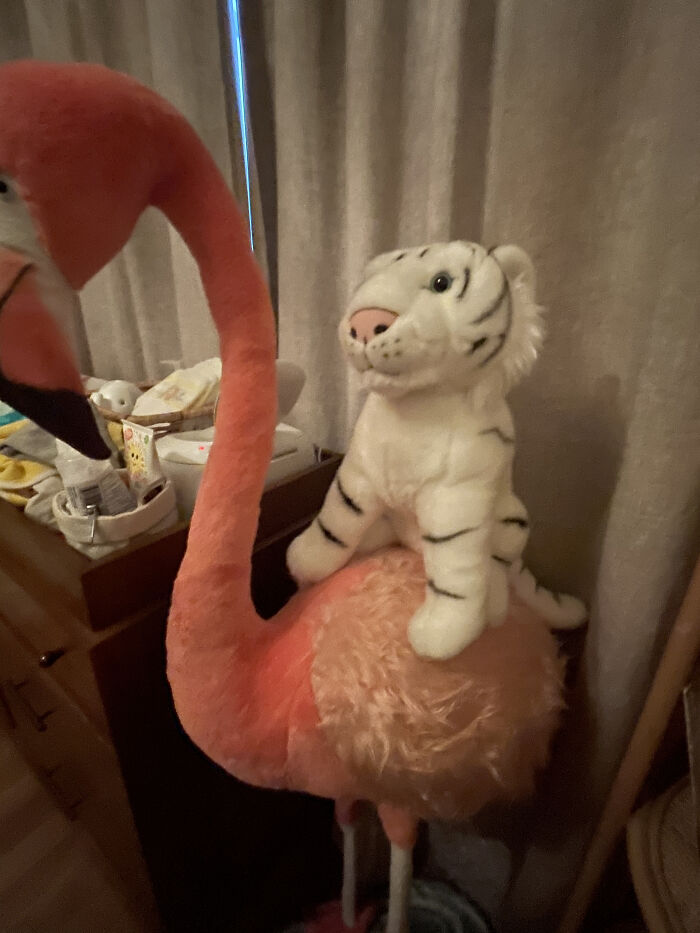 White Tiger Riding A Flamingo. Don’t Ask.