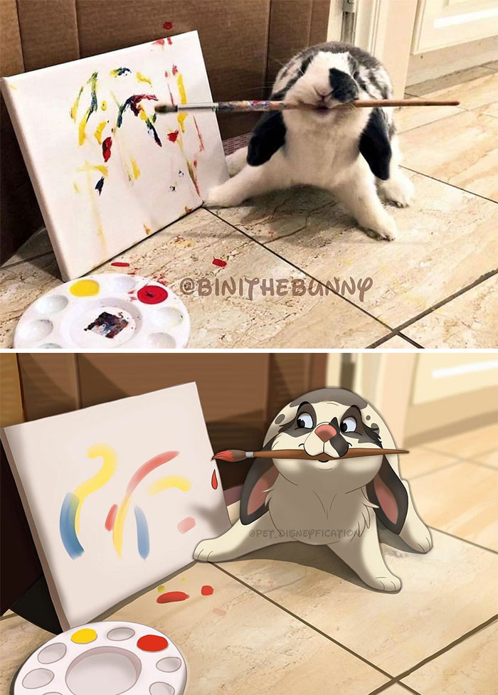 @binithebunny Is Such A Cute, Talented Bunny 🥰❤️⁣
⁣
is Bini A Better Artist Than Me? 🧐 Possibly. ⁣
maybe. Okay, Yes. ⁣
⁣
⁣
i’ve Been In A Bit Of A Rut With Drawing For Instagram, So Please Let Me Know What Your Favorite Pet Accounts Are. Maybe It’ll Give Me Some New Inspiration 🤞❤️⁣
⁣
⁣
⁣
(Ps. Baby Murphy Is Doing Well! 😊🐀)⁣
⁣
⁣