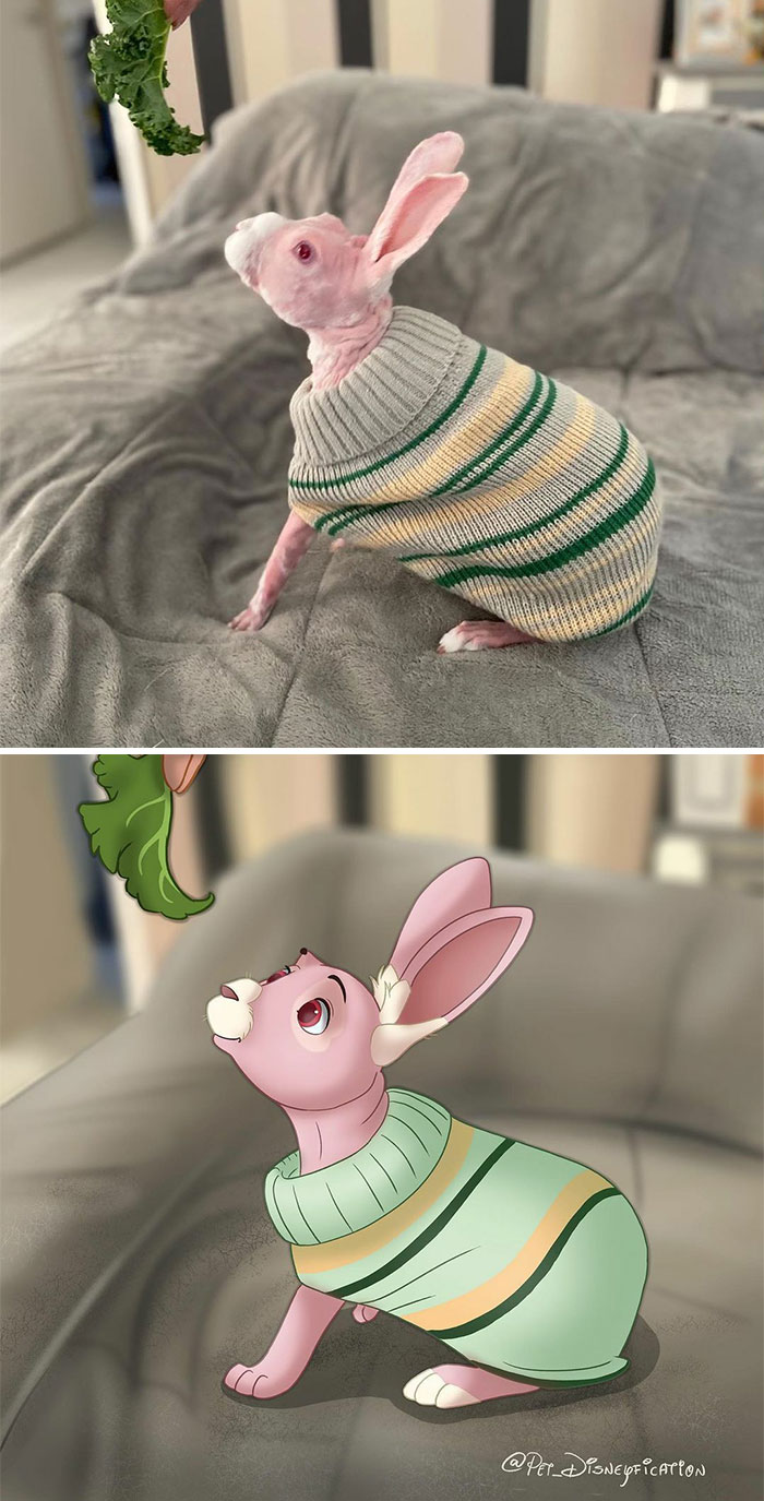 @mrbigglesworthrabbit Has The Best Taste In Sweaters 🥰
he Has A Hairless Genetic Condition So The Extra Clothes Are Fashionable Ánd Comfortable! 💚💚💚 ⠀⠀⠀⠀⠀⠀⠀⠀⠀ I Really Enjoy Drawing Bunnies!
i Always Forget Until I Draw One Again. What Are Some Bunny/Rodent Accounts I Should Check Out? 🤔