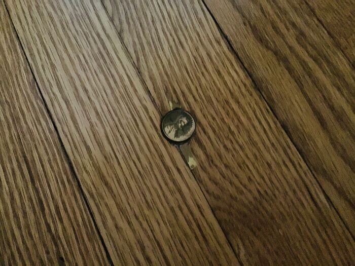 Our Whole House Is Old, But We Have A Penny Stuck In The Floor. No Idea How It Got Stuck. As Far As We Know It’s Original To The House From The 1930s