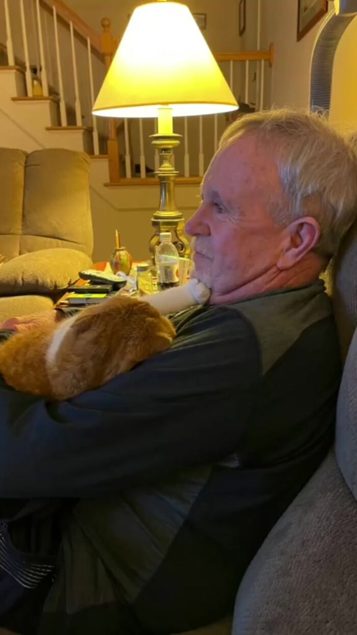 Este gato se niega a separarse de su abuelo, que lucha contra el cáncer