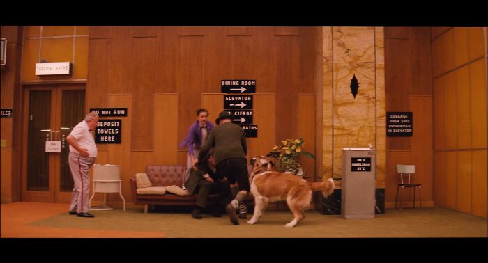 In The Grand Budapest Hotel (2014), Wes Anderson Randomly Cast A St Bernard He Saw In The Streets Of Görlitz, Germany, While They Were Filming. He Also Avoided Hiring An Animal Wrangler By Having The Dog’s Owner Appear In The Scene