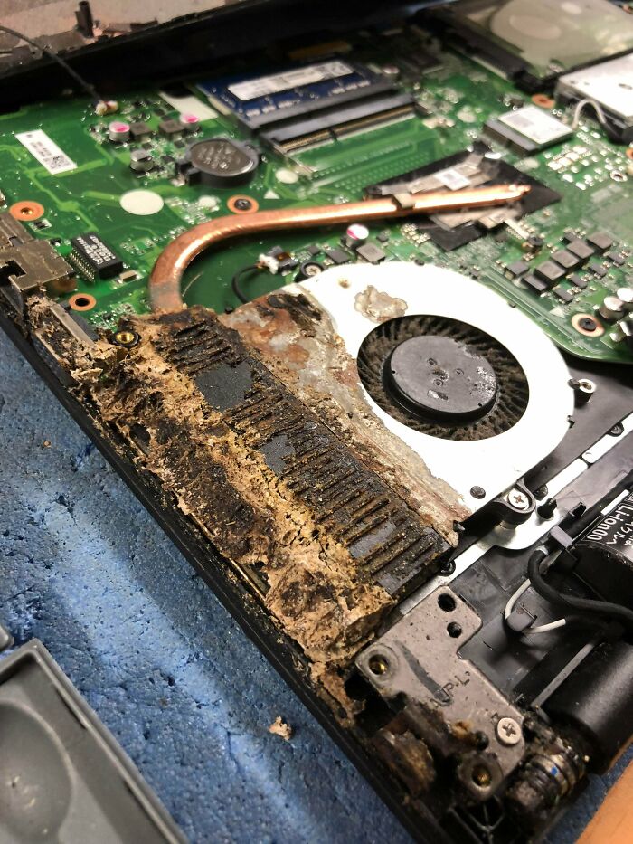 Laptop Left Turned On In A School Bag Mixed With A Moldy Sandwich In The Same Compartment 