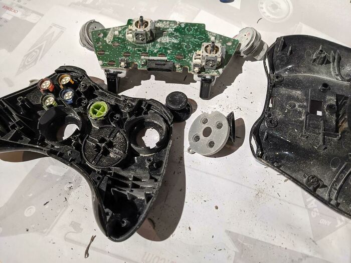 Llevé un mando de Xbox 360 a reparar. En el interior, encontré múltiples bichos muertos y todo estaba cubierto de un fino polvo blanco