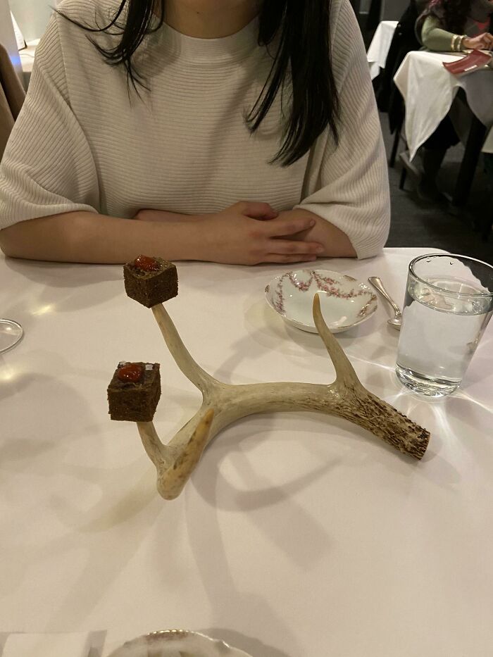 Venison Cubes On A Deer Antler (Was Actually Incredible)