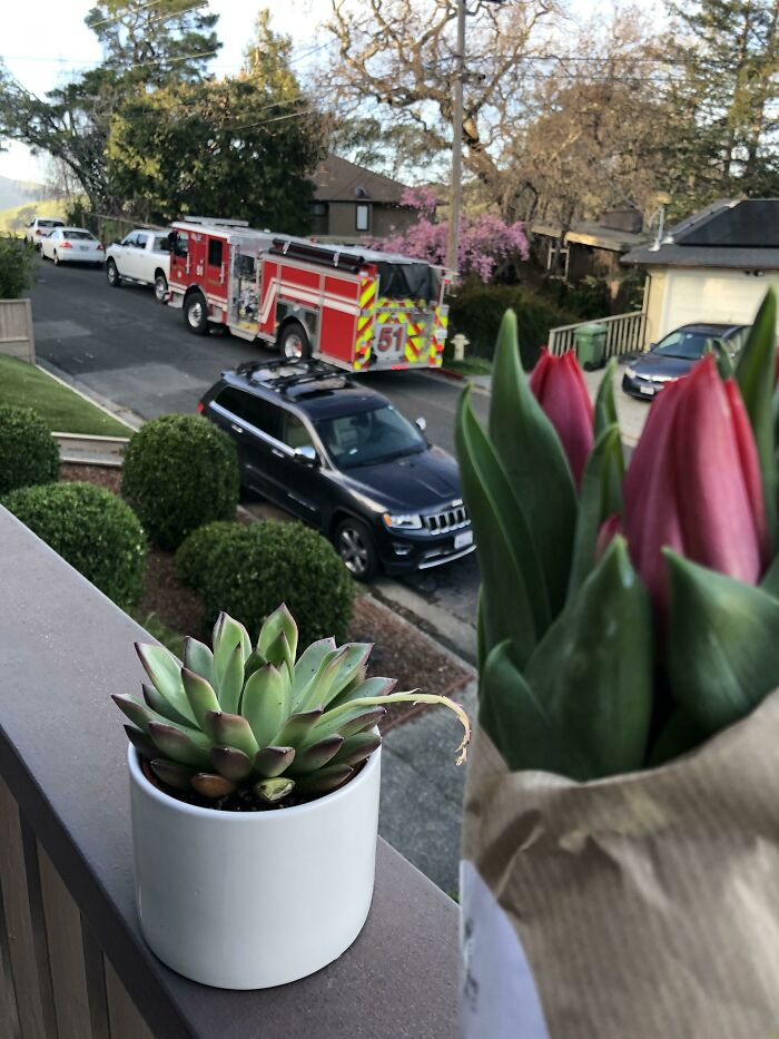 Los bomberos que ayudaron a dar a luz a nuestro bebé en nuestra entrada la semana pasada acaban de dejar flores