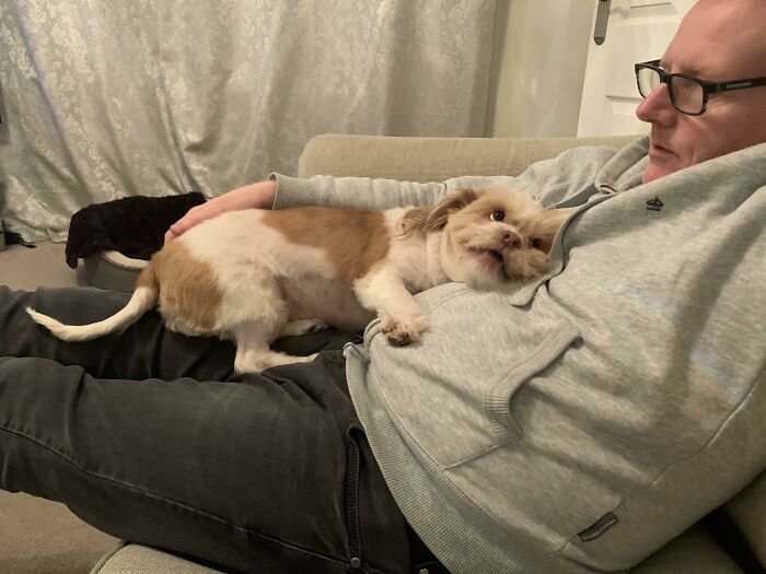 Stepdad Was Adamant That We Weren’t Getting A Dog. He Still Calls Her A Gremlin, But I Think Their Love Is Pretty Mutual