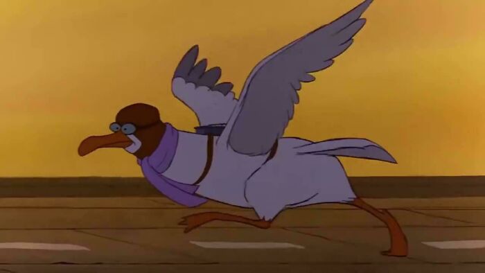 In Disney’s The Rescuers (1977), Orville The Albatross Is Seen Using A Runway And Requires A Running Start Before Taking Flight. This Is Because Albatrosses In Real Life Also Require A Running Start Due To Their Significant Size And Weight