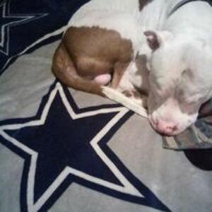 charlotteharris3211 avatar